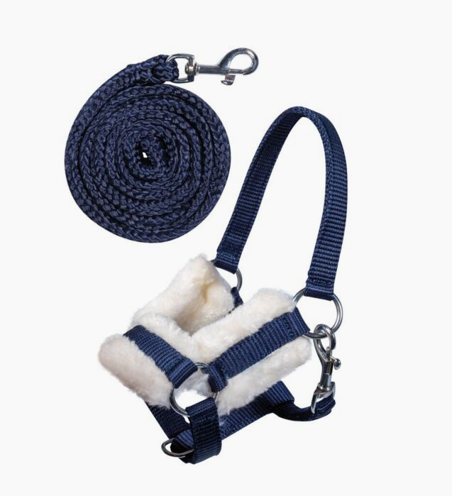 HKM Hobby Horse Headcollar & Lead
