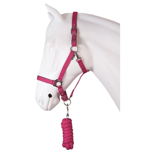 Boomerang Equestrian - Horka Headcollar & Rope Set Pink