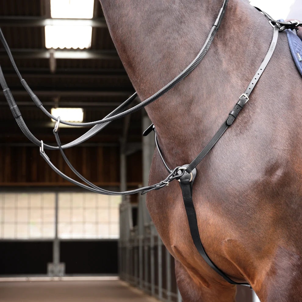 Close-up of a horse's neck with a breastplate in an indoor setting