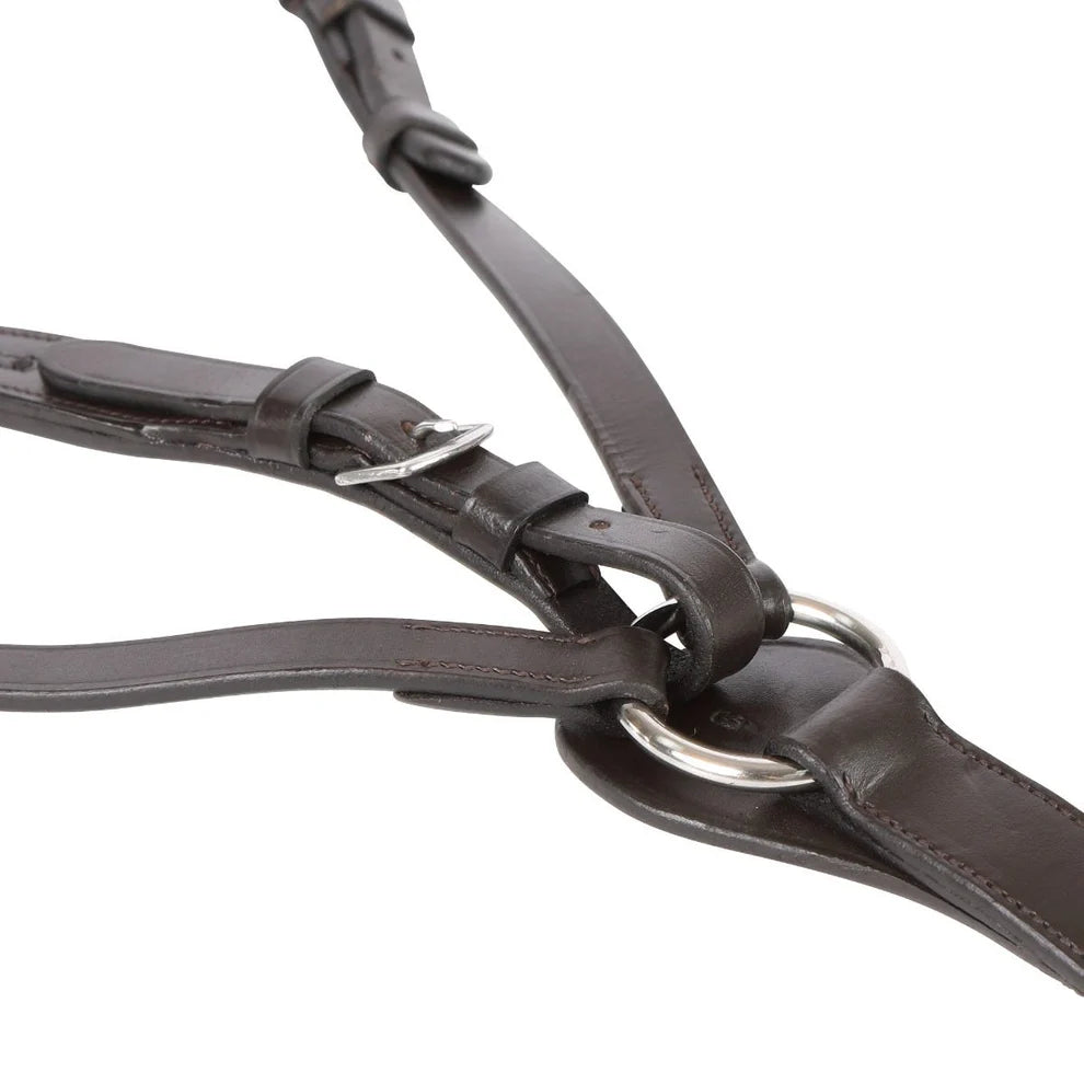 Dark brown leather horse breastplate close-up showing the crownpiece, noseband, and silver metal rings on a white background.