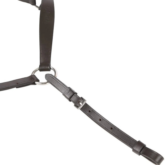 A close-up of a dark brown leather strap harness with silver metal hardware, including a D-ring and buckle, on a solid white background.