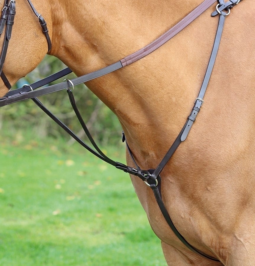 Close-up of a horse wearing a breastplate with a blurred green background