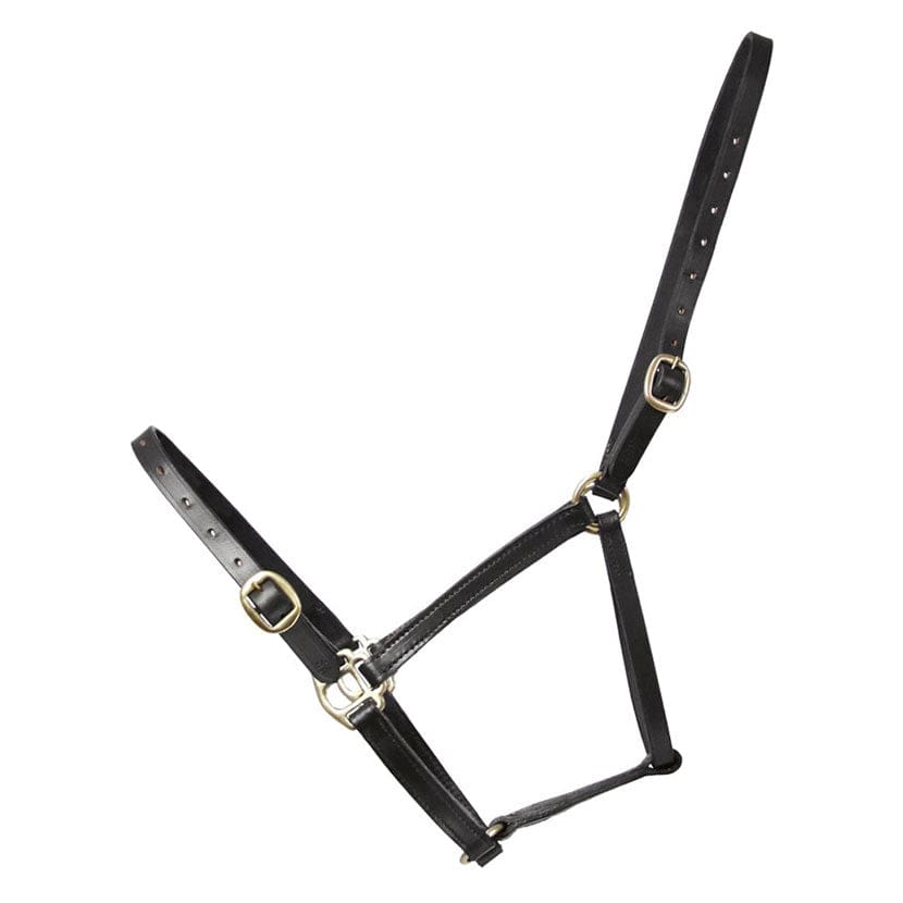 Hy Leather Foal Headcollar Black - Foal Headcollar