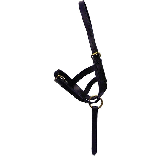 Boomerang Equestrian - Hy Leather Foal Slip