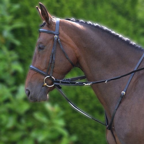Boomerang Equestrian - HY Market Harborough