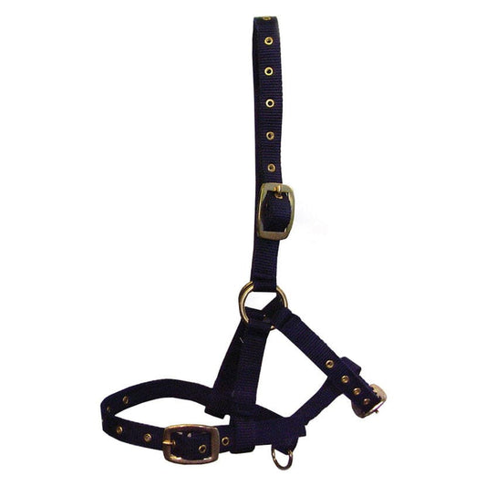 Boomerang Equestrian - HY Nylon Foal Headcollar
