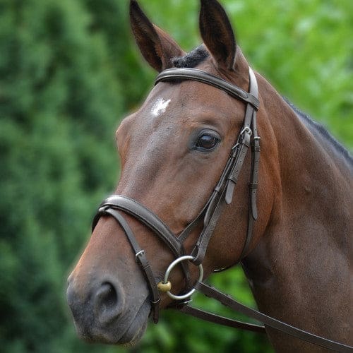 HY Padded Flash Bridle With Rubber Grip Reins Brown - FULL - Bridle