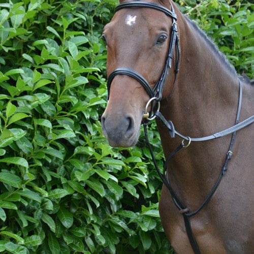 Boomerang Equestrian - HY Running Martingale