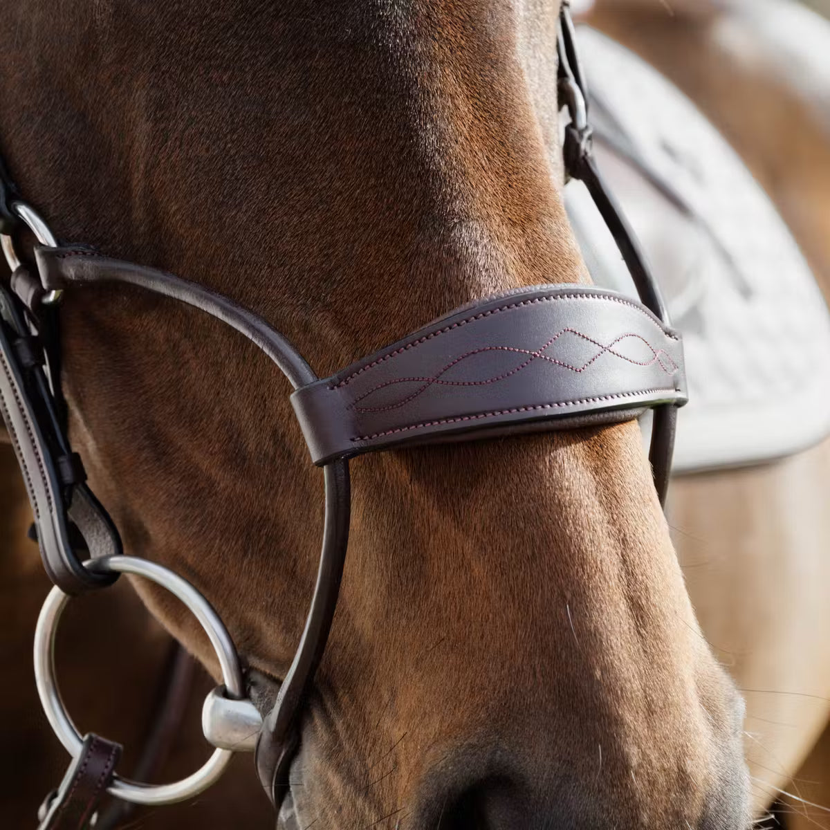 Close-up of a horse wearing a bridle with intricate leatherwork.