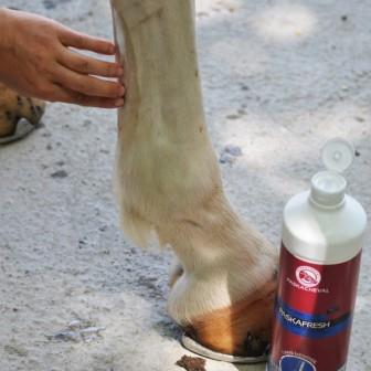 Boomerang Equestrian - Paskacheval Paskafresh Cooling Gel