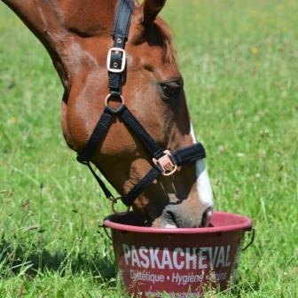 Boomerang Equestrian - Paskacheval Paskabloc Mineral Lick Bucket