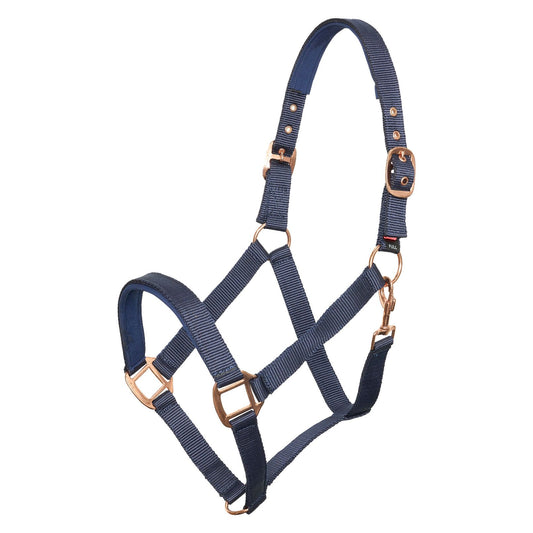Navy blue horse halter with brass hardware on a white background