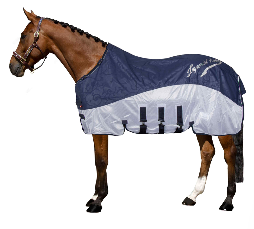 Horse wearing a blue and white blanket on a white background