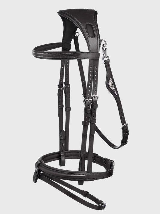 Black horse bridle on a white background