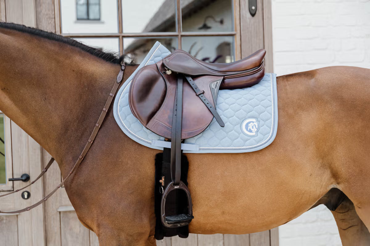 Horse with a brown saddle and blue saddle pad standing in front of a wooden door.