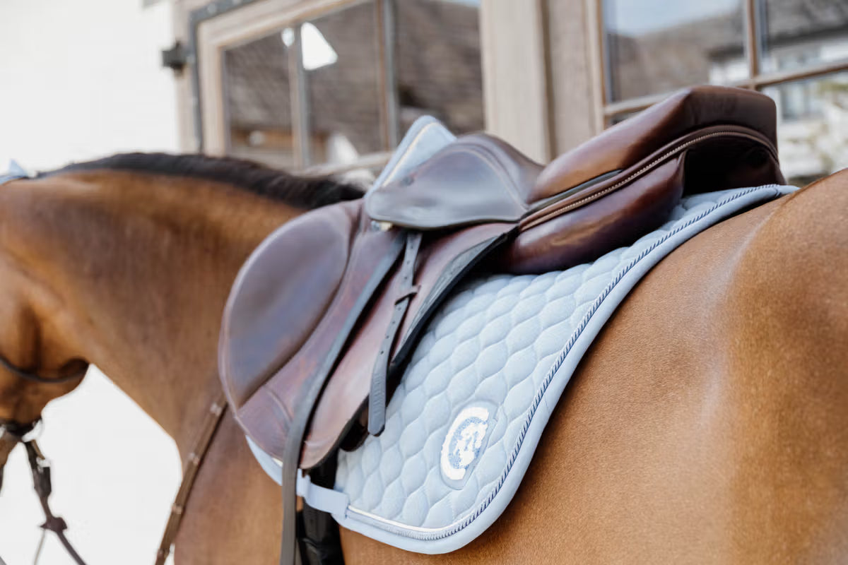Close-up of a horse wearing a brown saddle with a blue pad, standing in front of a building.