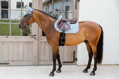 Horse with a saddle standing in front of a stable door