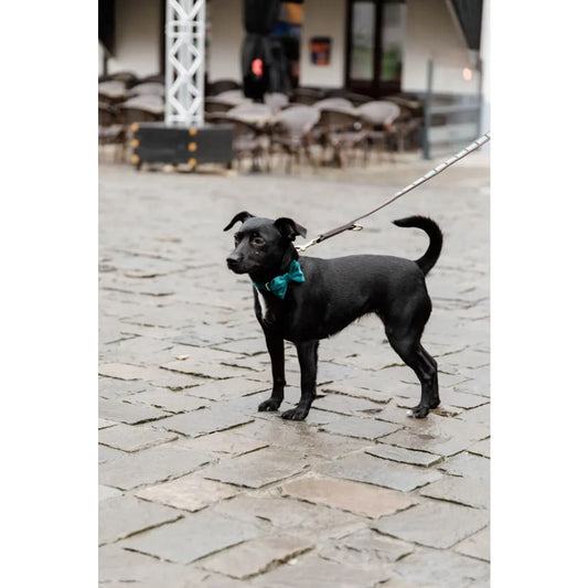 Boomerang Equestrian - Kentucky Bow Tie Velvet Emerald