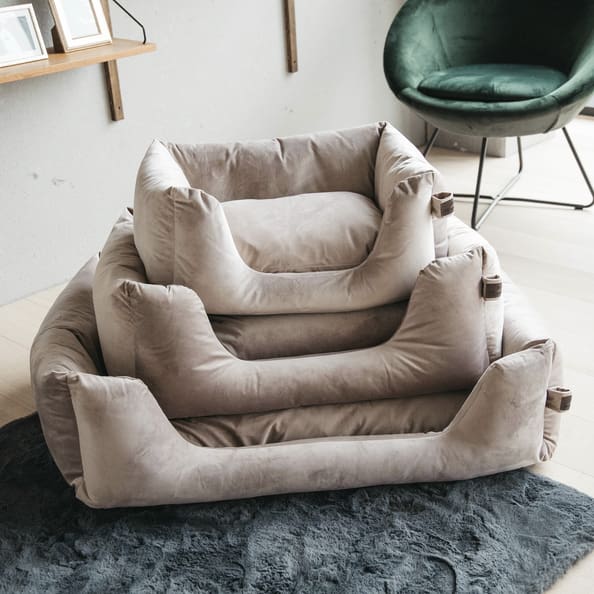 Boomerang Equestrian - Kentucky Dog Bed Velvet Beige
