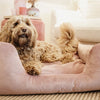 Kentucky Dog Bed Velvet Old Rose - S - 60 cm x 40 cm - Dog Bed