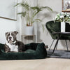 Kentucky Dog Bed Velvet Pine Green - S - 60 cm x 40 cm - Dog Bed