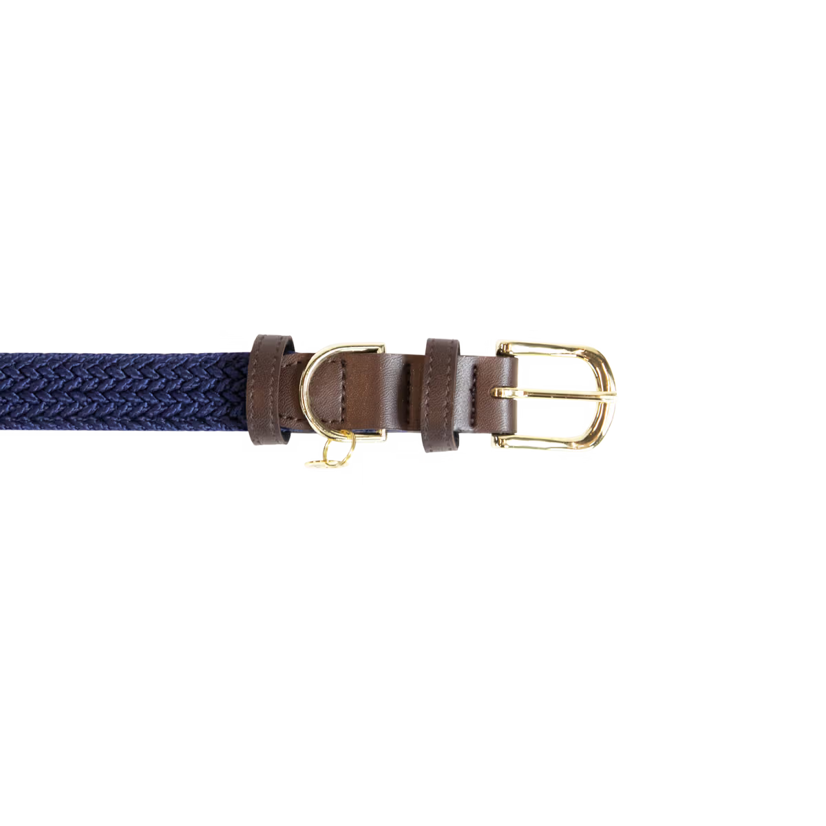 Navy blue dog collar with a gold buckle on a white background