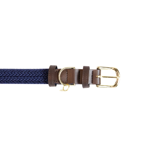 Navy blue dog collar with a gold buckle on a white background