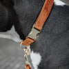 Kentucky Dog Collar Velvet Orange - Dog Collar