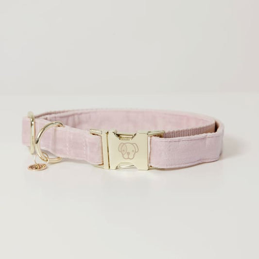 Boomerang Equestrian - Kentucky Dog Collar Velvet Soft Rose