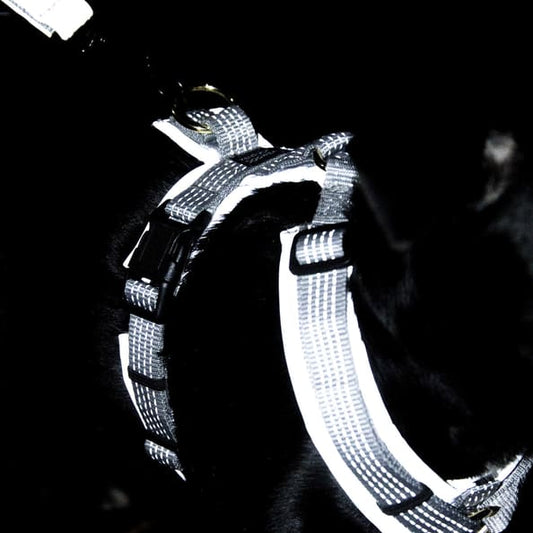 Boomerang Equestrian - Kentucky Dog Harness Active Reflective