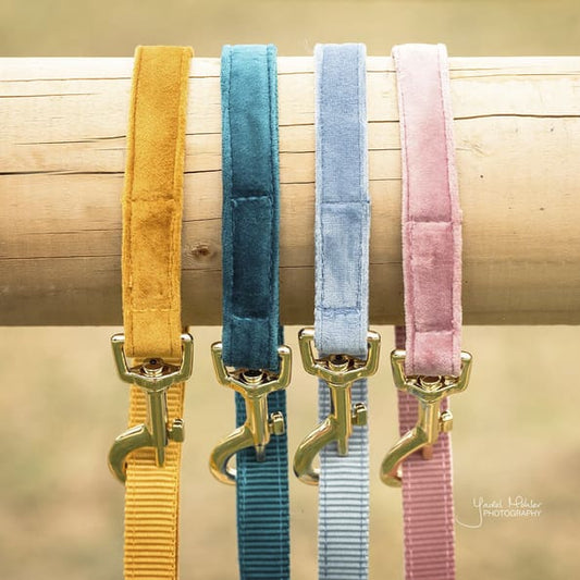Boomerang Equestrian - Kentucky Dog Lead Velvet Mustard