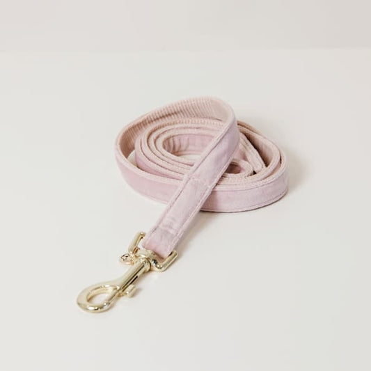 Boomerang Equestrian - Kentucky Dog Lead Velvet Soft Rose
