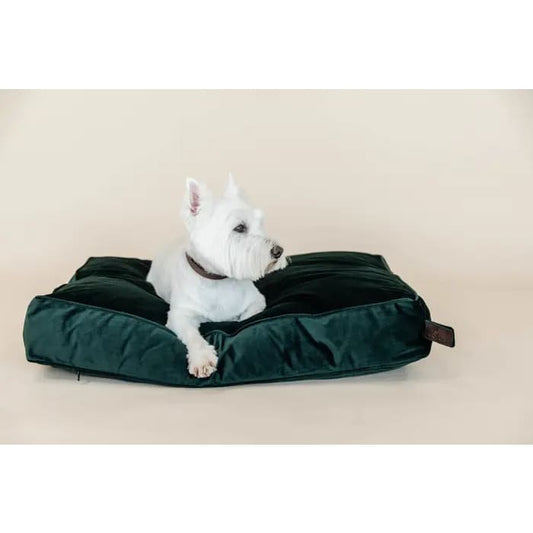 Boomerang Equestrian - Kentucky Dog Pillow Velvet Pine Green