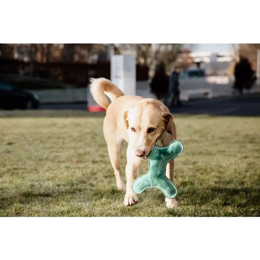 Boomerang Equestrian - Kentucky Dog Toy Pastel Bone Emerald