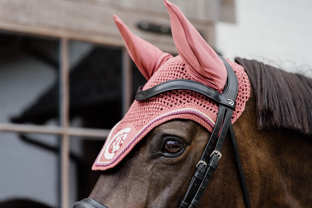Horse wearing a pink fly mask with a blurred background