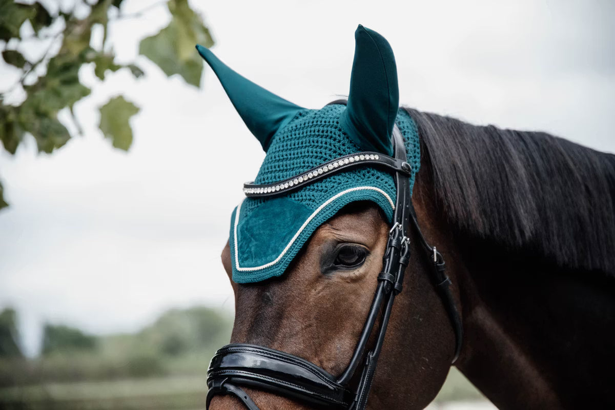 Horse wearing a blue protective hood with a blurred background