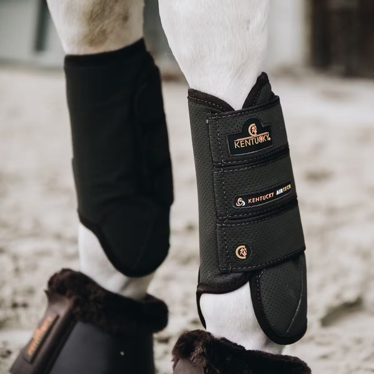 Close-up of horse legs wearing black protective leg wraps with 'Kentucky' branding.