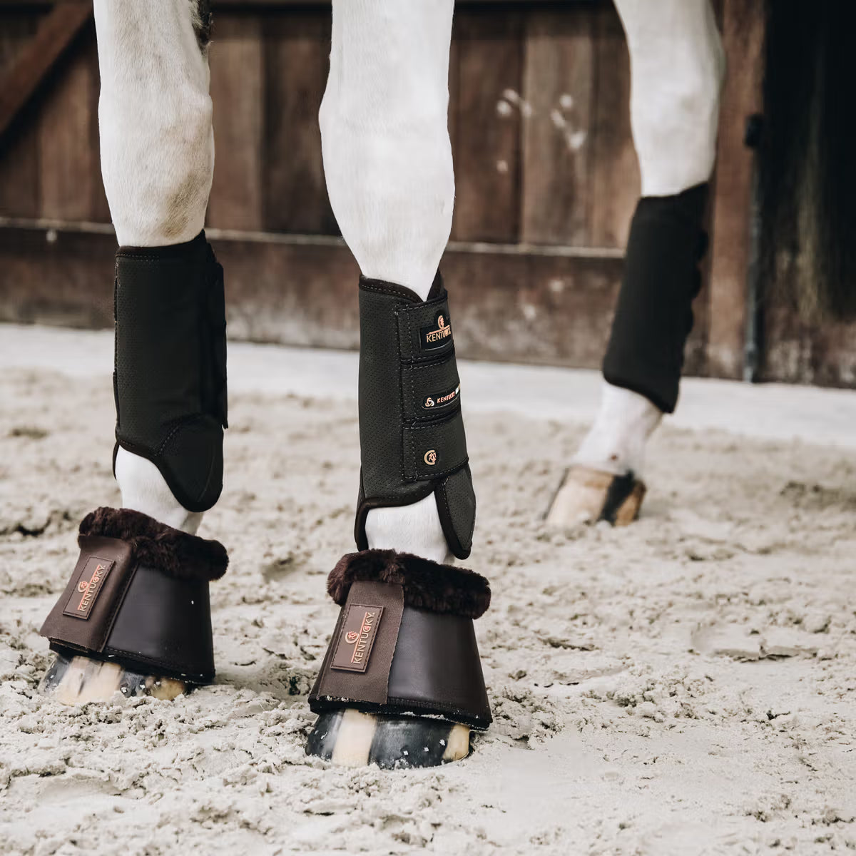 Horse wearing black protective boots on a sandy ground with a wooden stable in the background.
