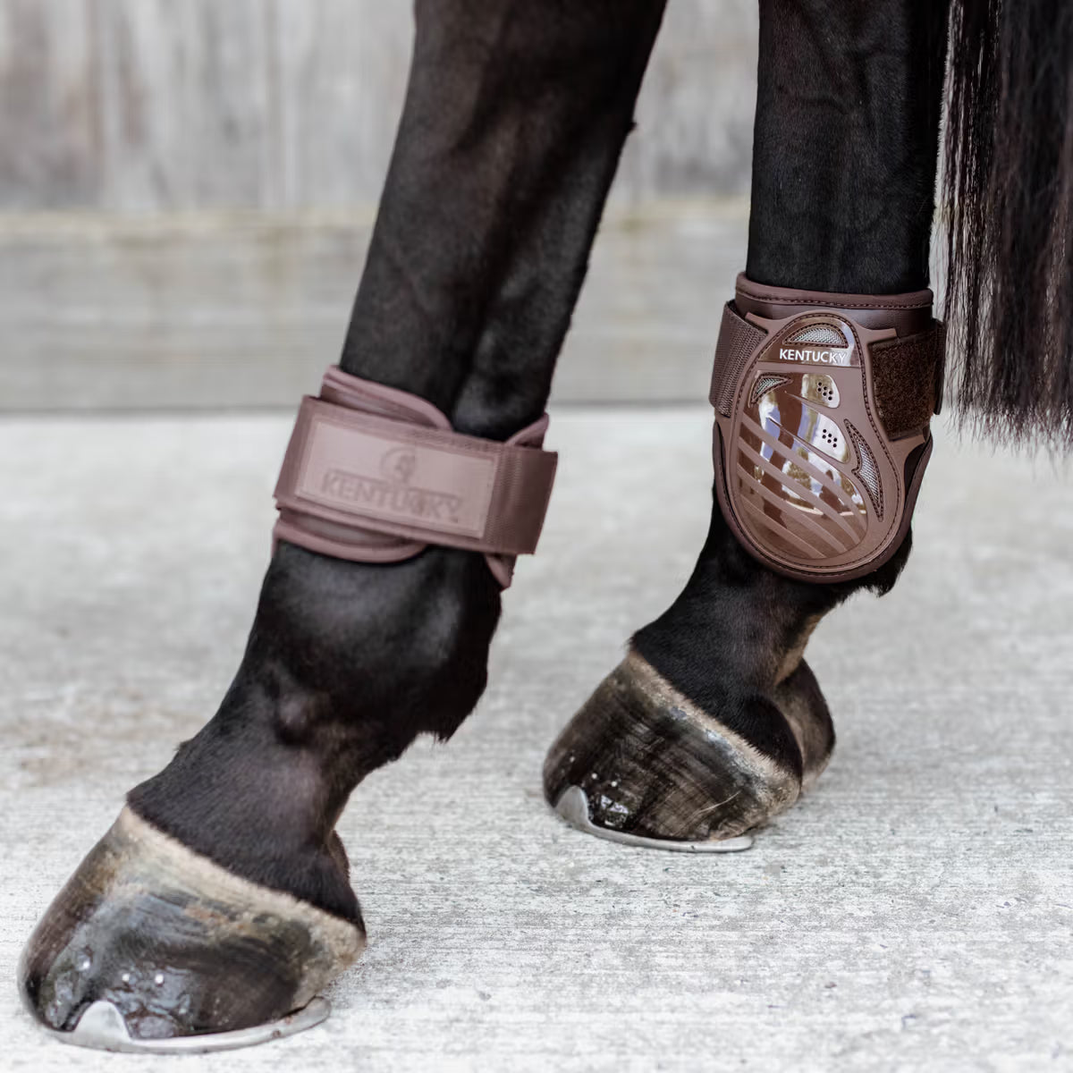 Kentucky Young Horse Fetlock Boot Brown