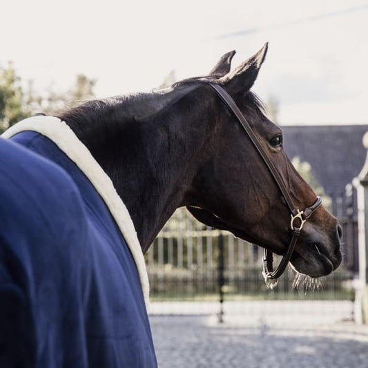 Boomerang Equestrian - Kentucky Fleece Show Rug Heavy Navy