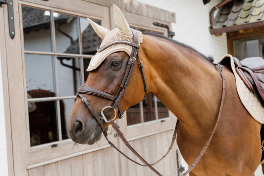 Brown horse wearing a beige fly veil with decorative elements in front of a stable.