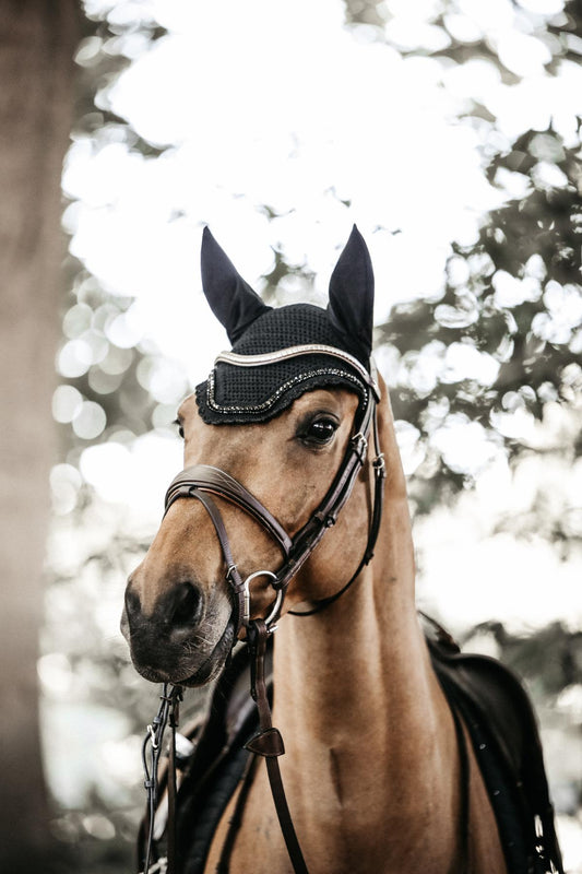 Horse wearing a bridle with a blurred forest background