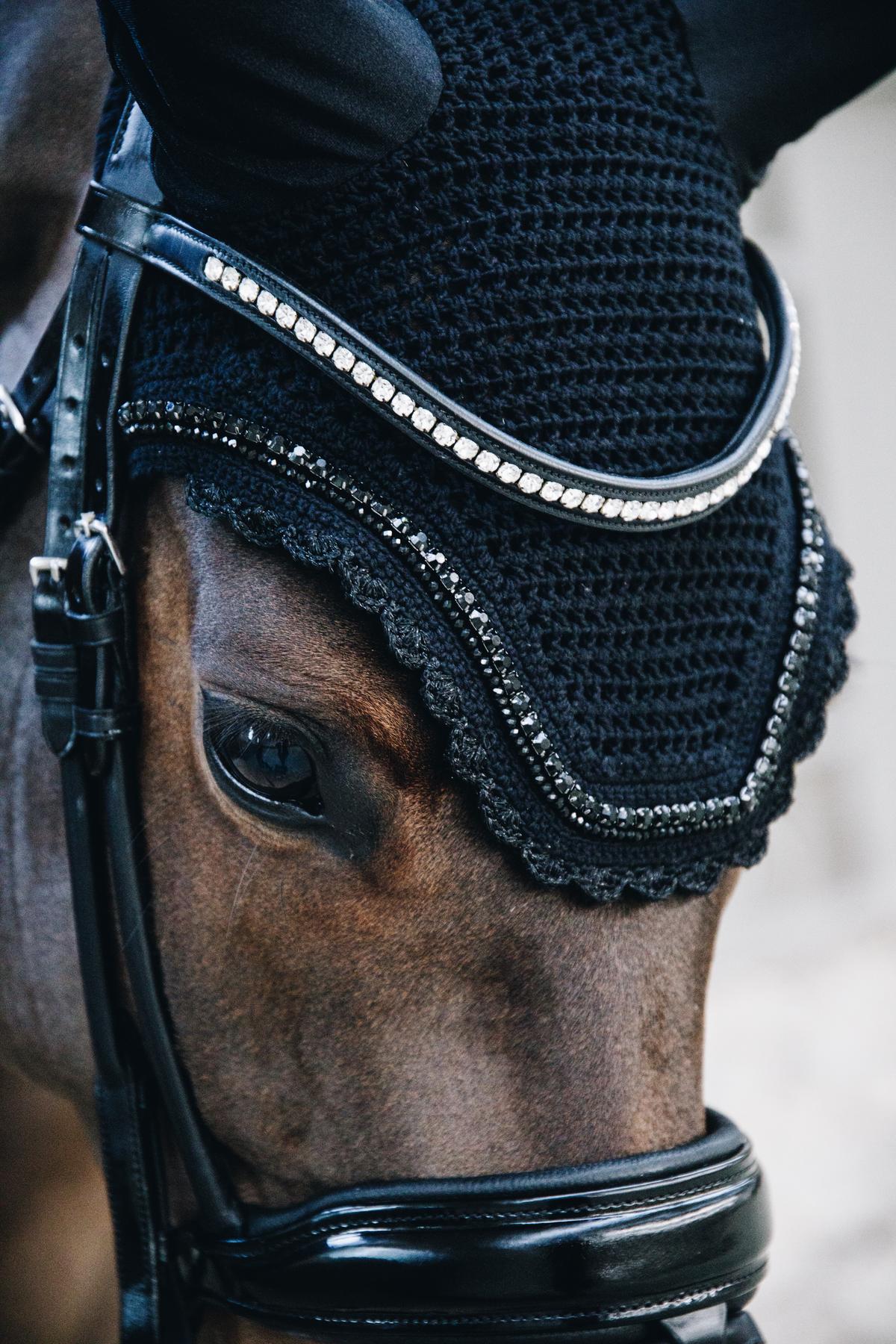 Horse wearing a black bridle with decorative elements on a blurred background