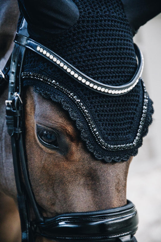 Horse wearing a black bridle with decorative elements on a blurred background