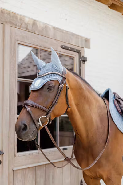 Brown horse wearing a bridle and protective eye cover in front of a wooden stable door.