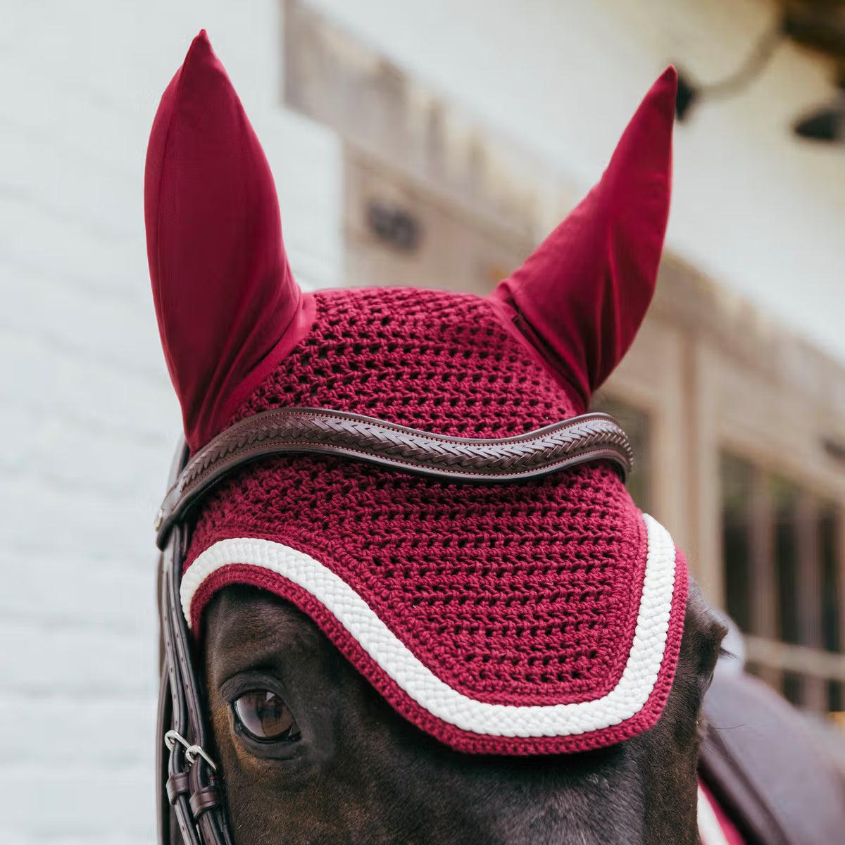 Horse wearing a red and white protective hood with ear flaps.