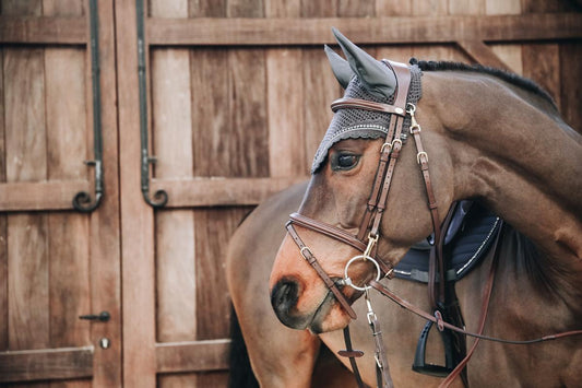 Brown horse with bridle and saddle in front of wooden stable doors