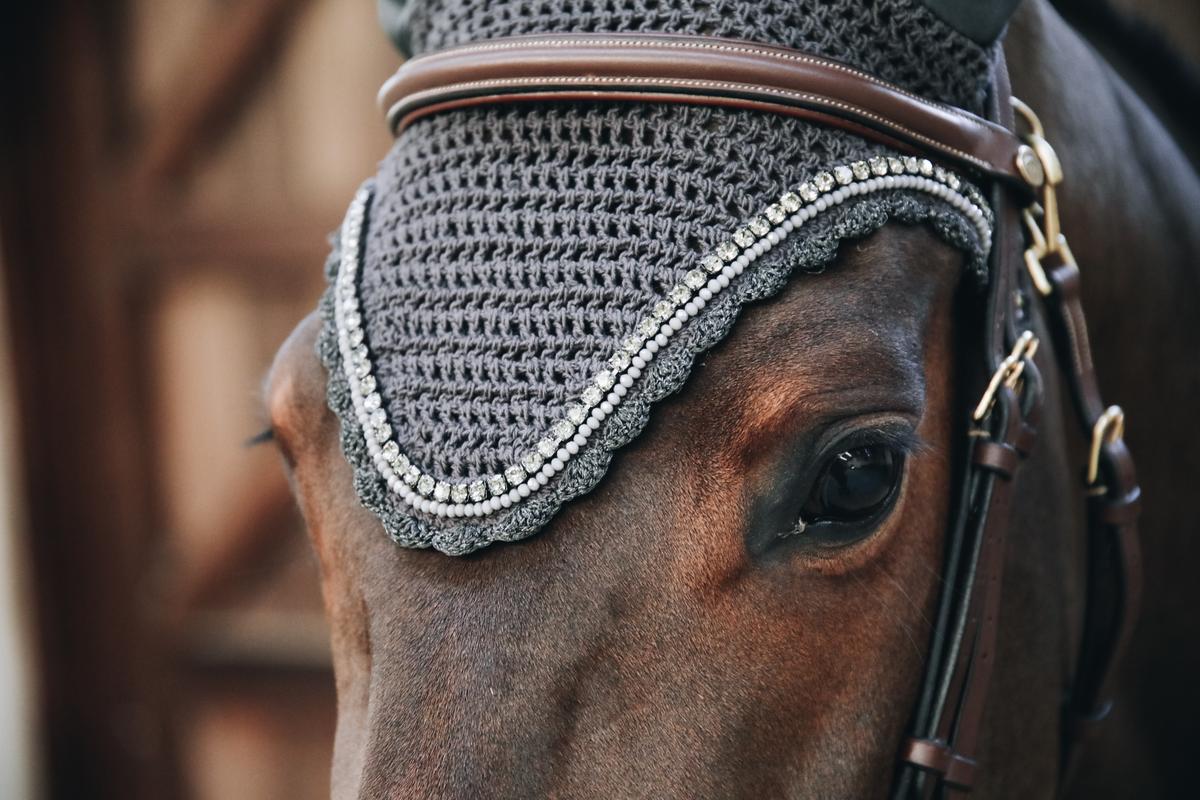 Horse wearing a decorative bridle with a mesh face guard.