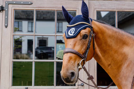 Horse wearing a blue fly veil with a logo in front of a window