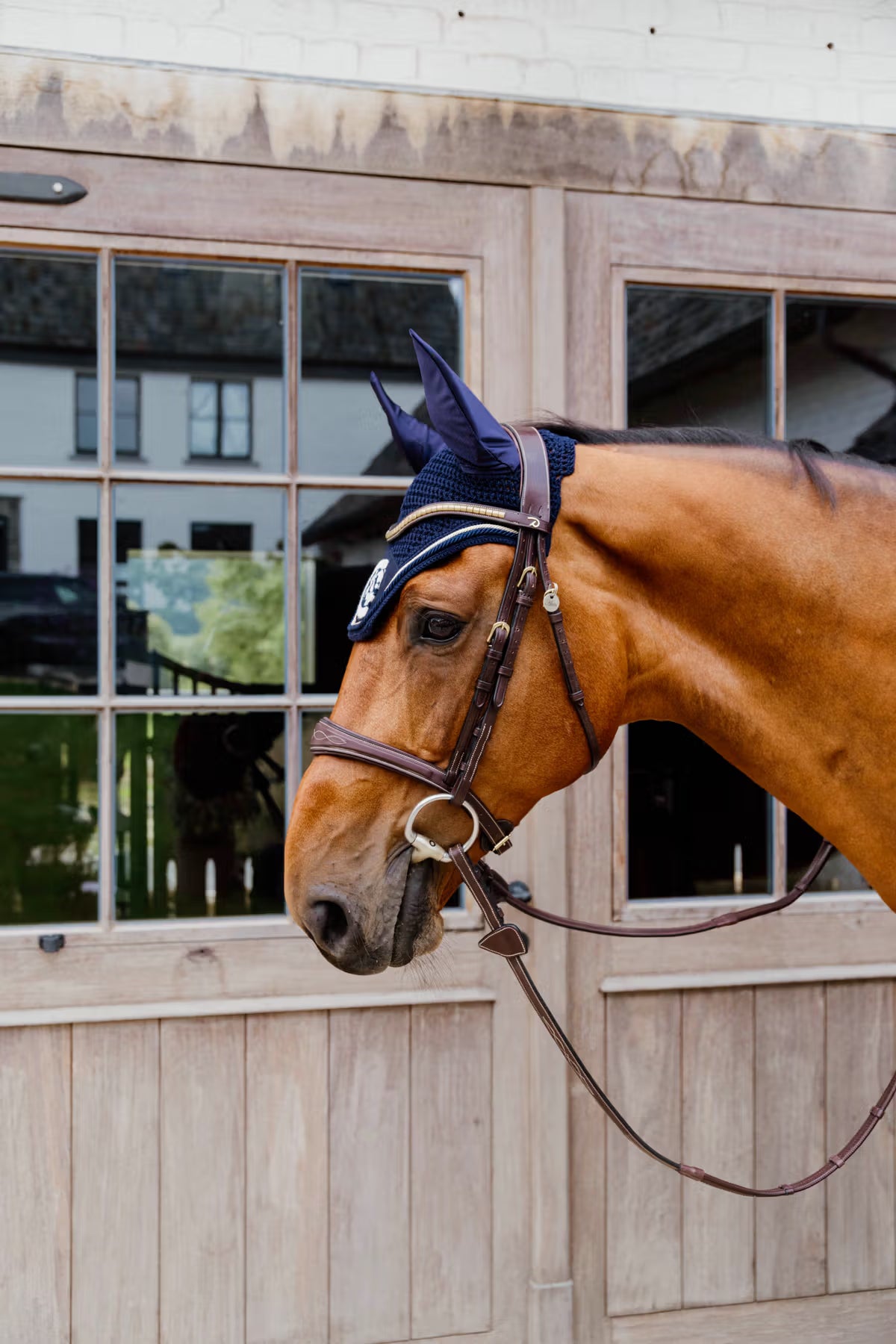 Brown horse with a bridle and navy fly veil standing next to a wooden stable door.